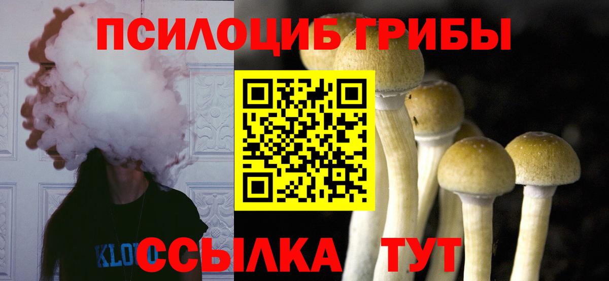 Галлюциногенные грибы MAGIC MUSHROOMS Котовск