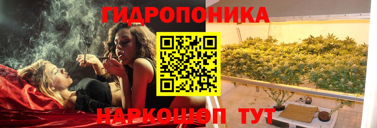 Конопля семена  Вход с VPN  Котовск  МАРИХУАНА план  Каннабис тримм 